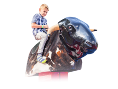 Mechanical Bull Rentals