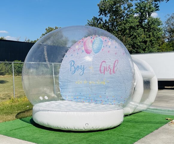 Gender Reveal Snow Globe