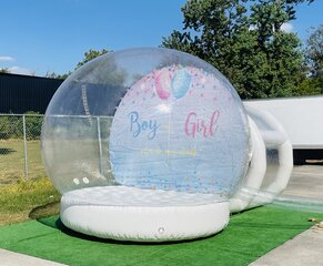 Gender Reveal Snow Globe