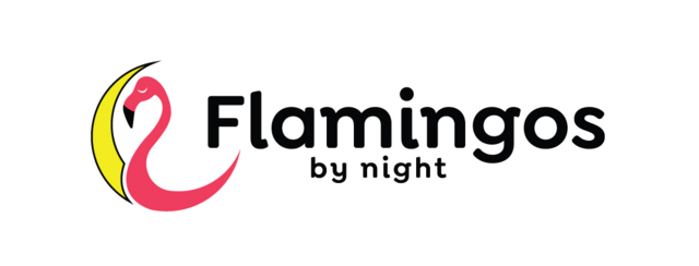 Flamingos by Night