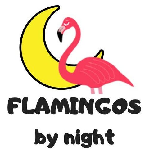 Flamingos by night
