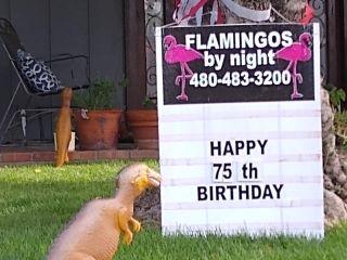 happy 75th birthday yard sign with dinosaurs