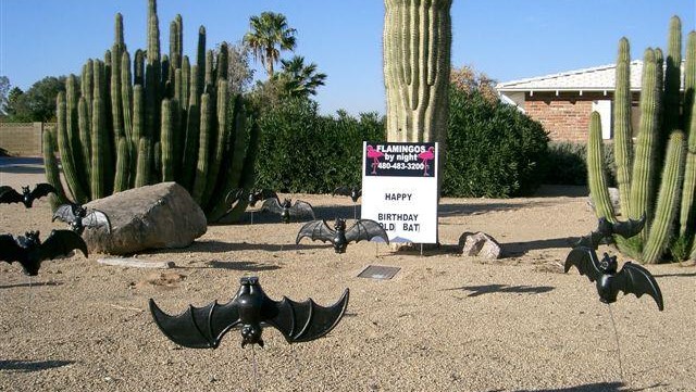 40 black bats birthday yard signs near Peoria Az