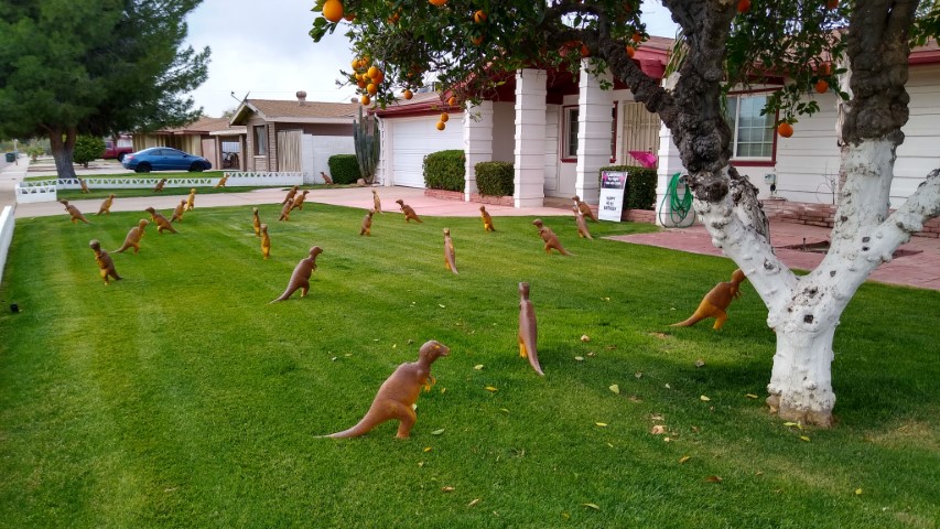 30 dinosaurs in Paradise Valley birthday yard display