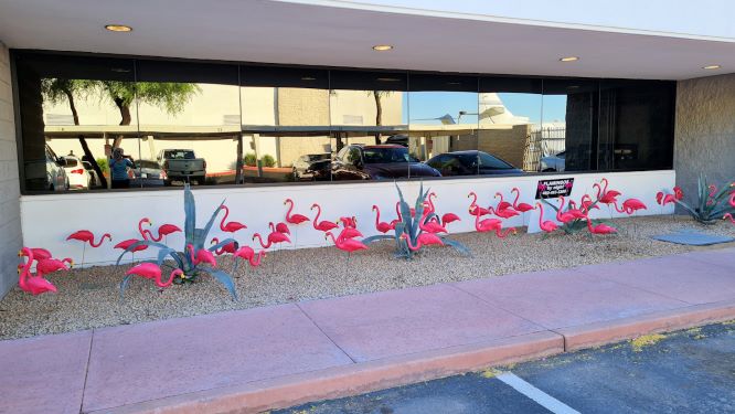 Bosses Day flamingos flocking at office