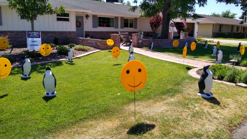 Penguins and smiley faces birthday yard signs on display near Arcadia in AZ