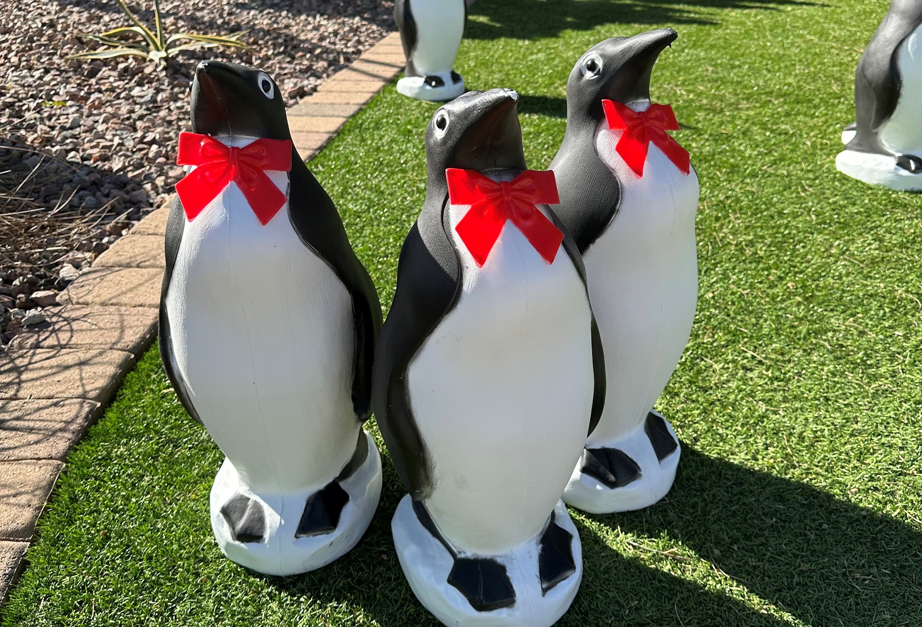 30 penguins in yard for a cool kid.  Graduation yard sign greeting near Arcadia