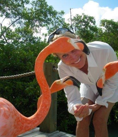 Owner of Flamingos By NIght hand feeds live flamingos