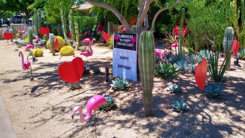 flamingos and big red hearts decorations in yard