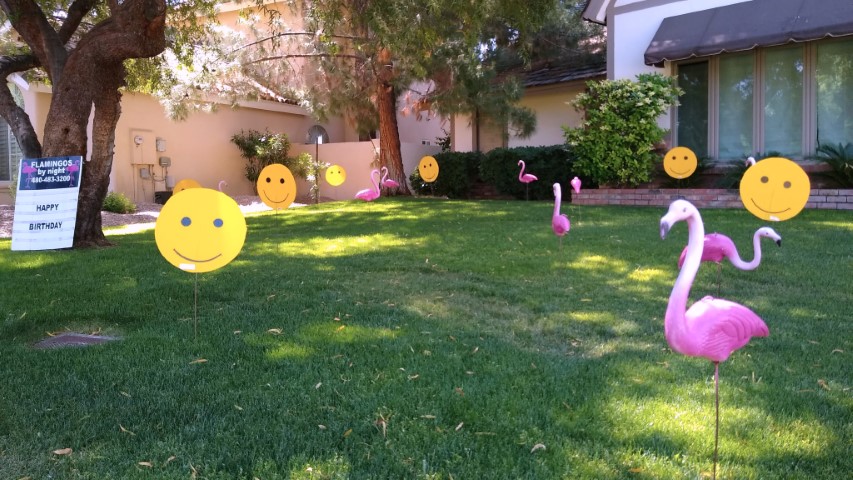 Birthday yard card of flamingos and smiley faces in Phoenix lawn greeting