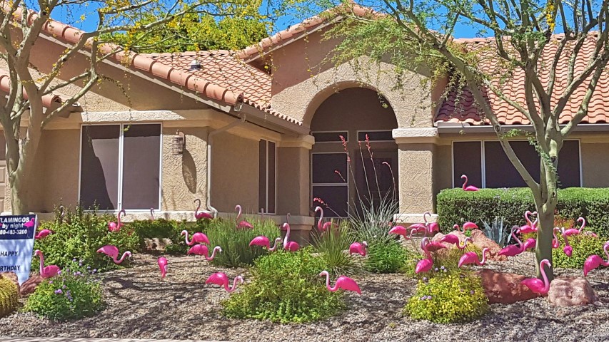 flocking flamingos yard decor