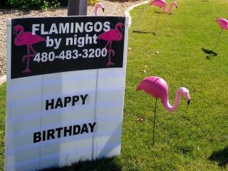 happy birthday yard sign with flamingos
