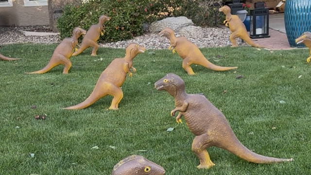 dinosaurs yard sign 75th birthday greeting in Mesa AZ dinosaurs yard sign 75th birthday greeting in Mesa AZ