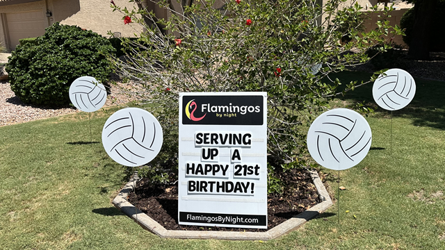 Happy 12th birthday with big number 12s and softball decorations in the yard with a custom yard sign. in Phoenix Happy 12th birthday with big number 12s and softball decorations in the yard with a custom yard sign. in Phoenix