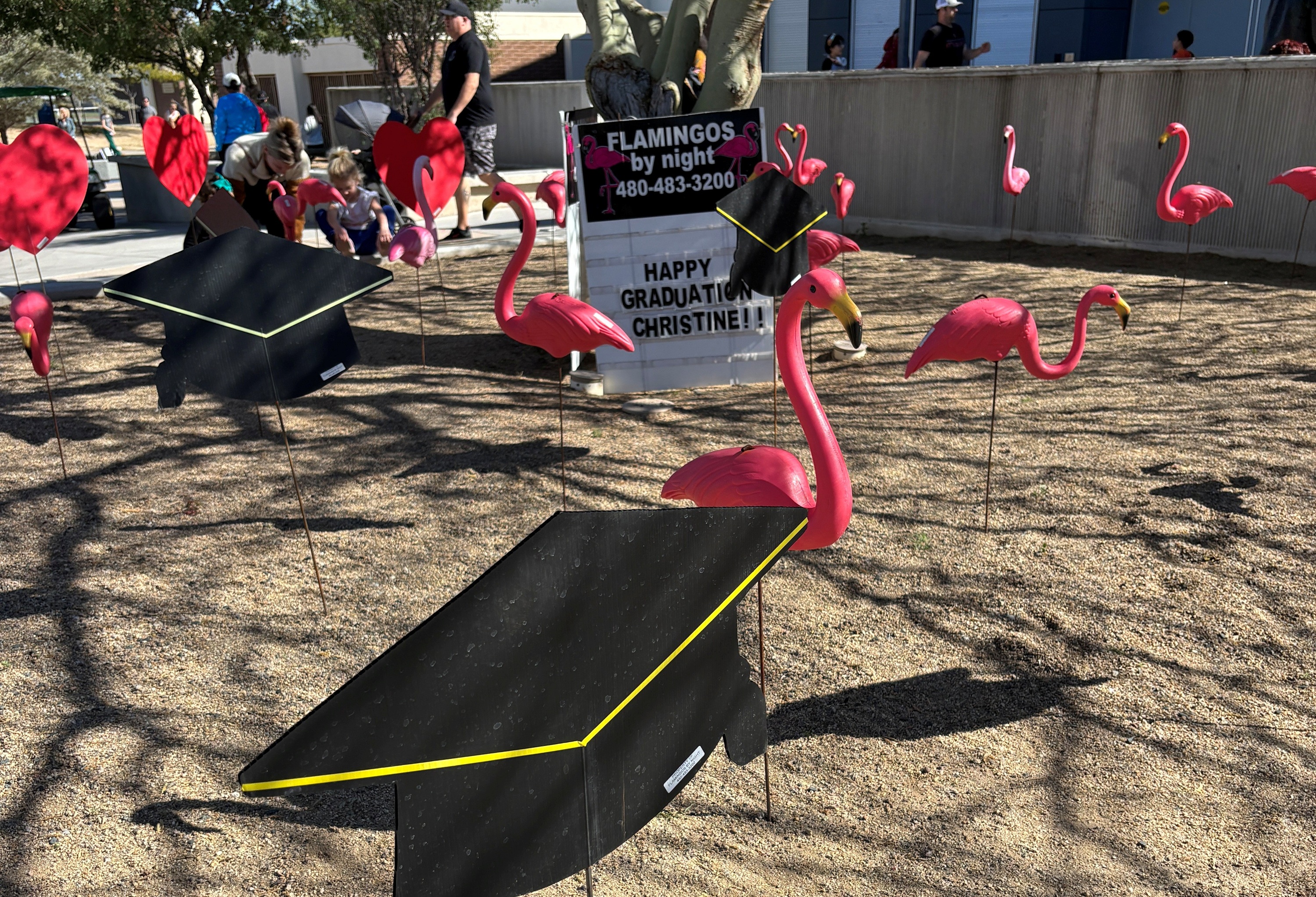 30 stars graduation yard card sign announcement near Chandler