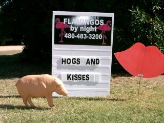 Hogs and kisses yard sign