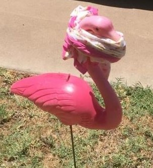 pink flamingo with a covid 19 mask
