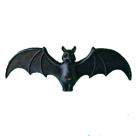 Bat