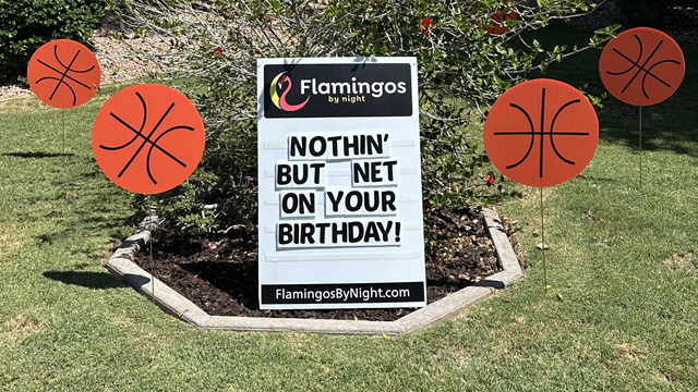 30 Basketballs