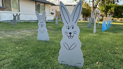 WELCOME TO THE GRAY HAIRS CLUB! birthday package - 30 gray hares