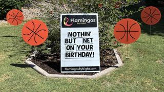 30 Basketballs (16' tall 16' wide)