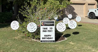 30 Golf balls (16' tall 16' wide)