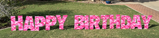 PRETTY IN PINK Happy Birthday - Pink Camouflage Letters and 24 Pink Flamingos Package