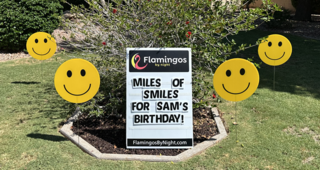 30 Smiley faces (16' tall 16' wide)