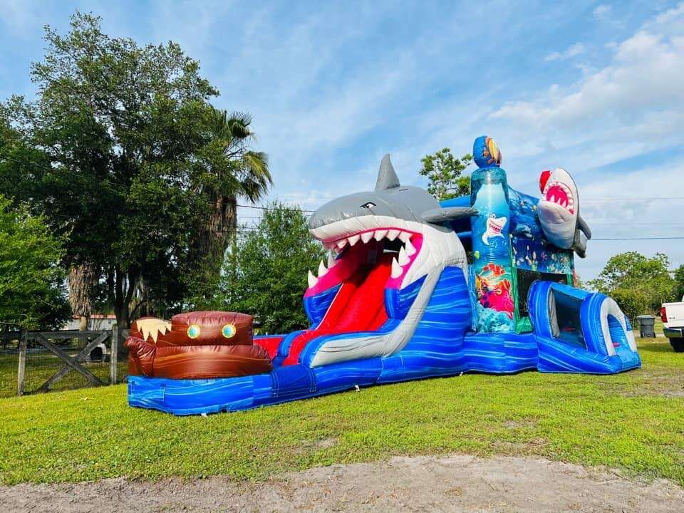 Shark wet/dry bounce house combo rentals, Fun Bounces Rental, Homer Glen, IL