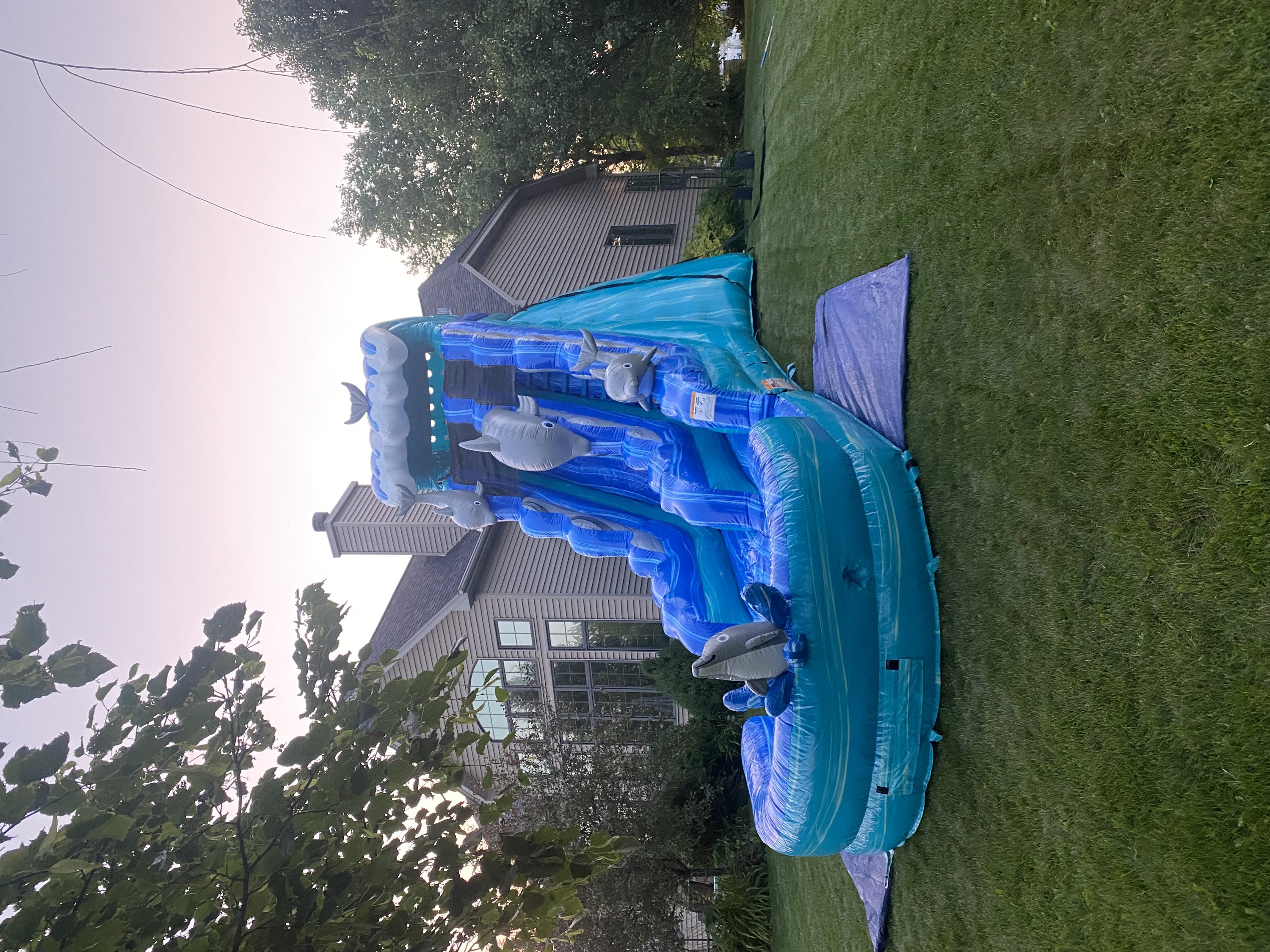 Dolphin water slide rentals, Crest Hill, IL