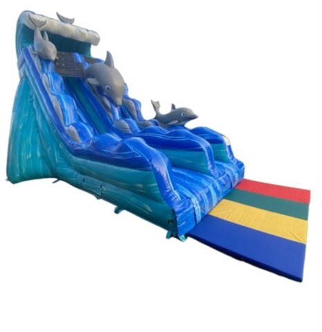 19ft Dolphin Dry Slide 