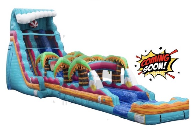 Extreme Dual  Lane Beach Life Water Slide