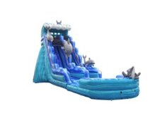 19ft Dolphin Water  Slide