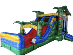 Reggae Rush Bounce House Combo