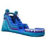 15ft Jelly Fish Water Slide 