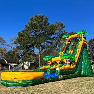 22ft Cali Palms Waterslide (Wet/Dry)