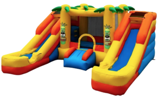 Tiki Toddler Dual Slide (Wet/Dry)