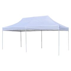 Canopy 10x20 