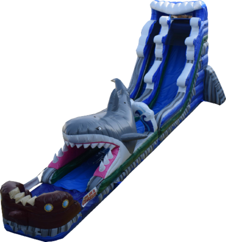 shark slide for rent 