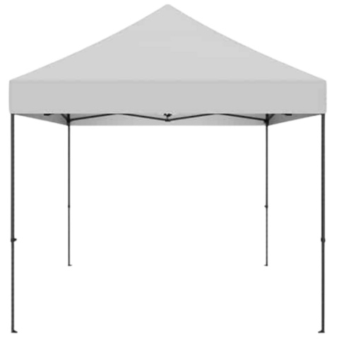Canopy 10x10