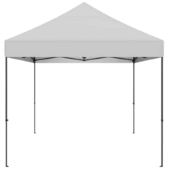 CANOPY 10x10