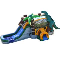 JURASSIC COMBO (#217 Dry)