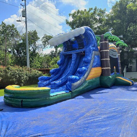  Tropical Paradise combo  double slide with pool or splash pad 13x27