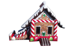 Gingerbread house with slide