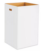 Disposable trash can with bag