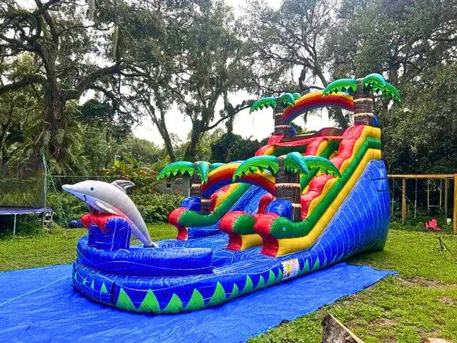 16ft Dolphin Tropical Waterslide