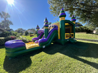 Amazon River Bouncer with Dual Lane slide W Splash Pad