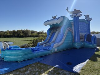 Dolphin Bounce House W/Dual lane Slide W/Xl Pool