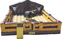 Mechanical Bull