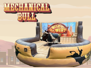 Mechanical Bull